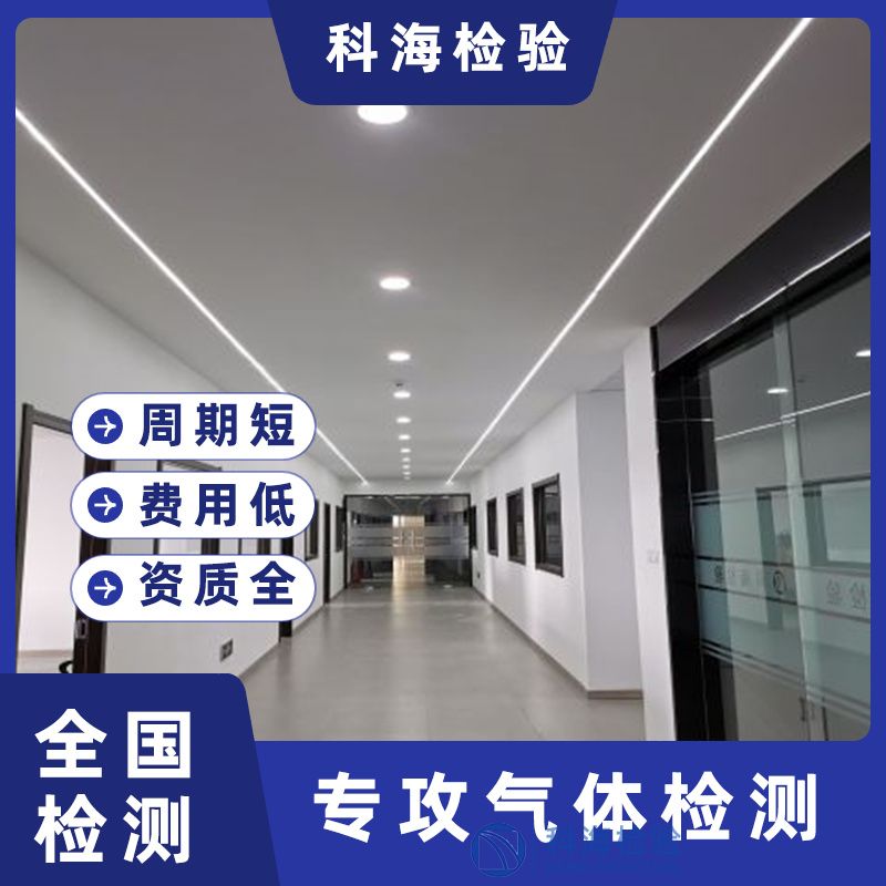 高純氨中雜質(zhì)檢測技術(shù)：從氣相色譜到金屬離子分析